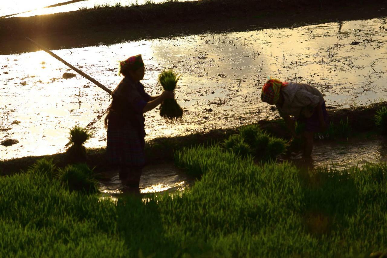 Mu Cang Chai Eco Lodge Nam San Eksteriør bilde