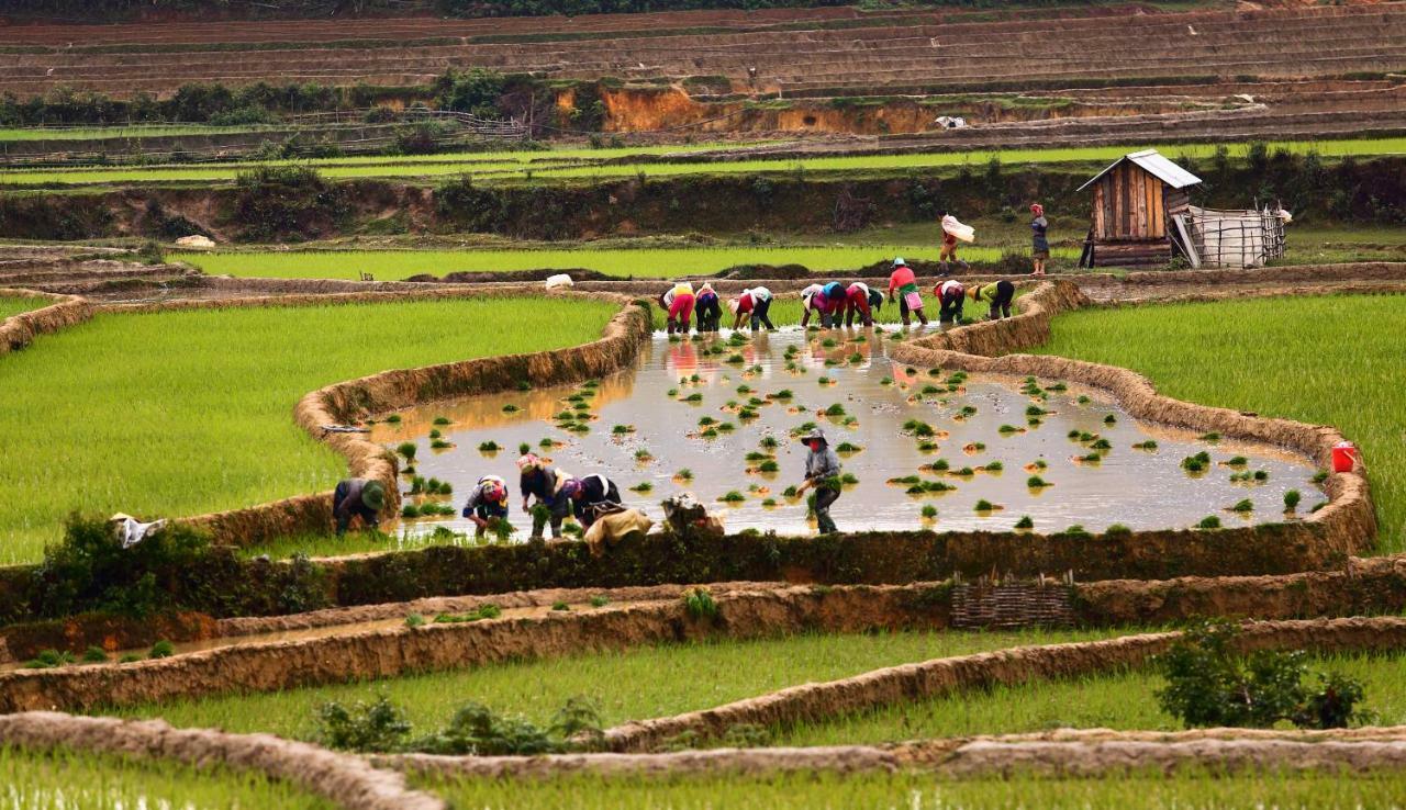 Mu Cang Chai Eco Lodge Nam San Eksteriør bilde