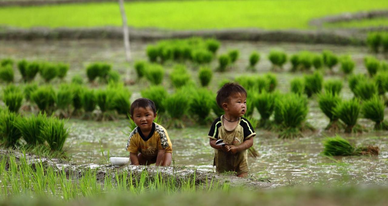Mu Cang Chai Eco Lodge Nam San Eksteriør bilde