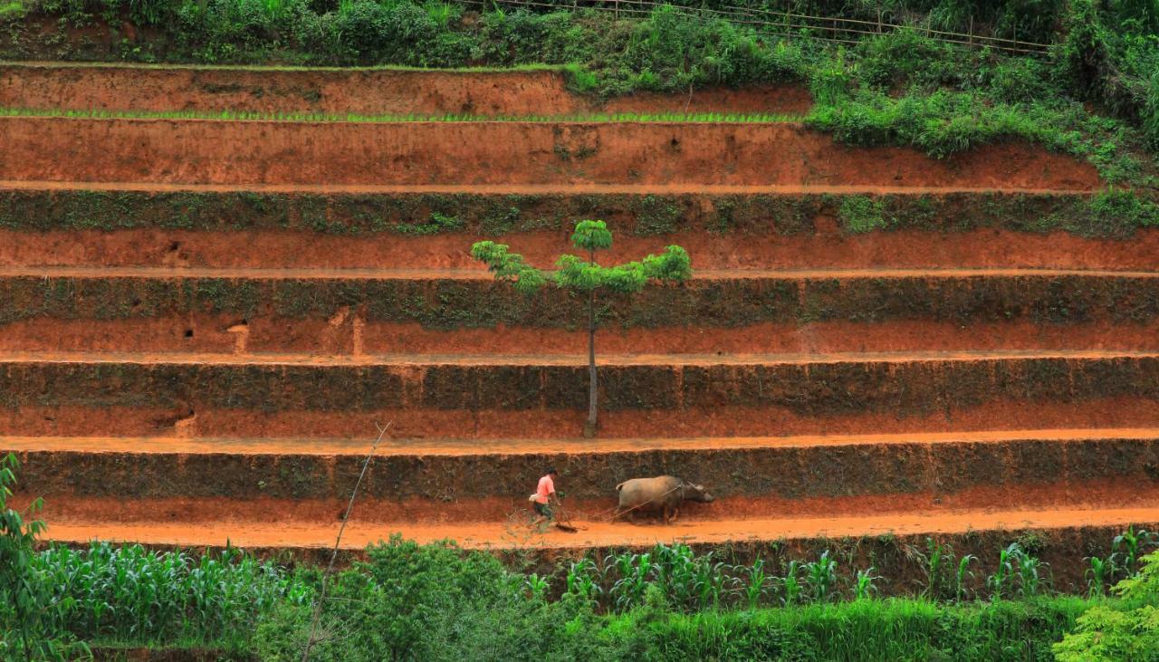 Mu Cang Chai Eco Lodge Nam San Eksteriør bilde