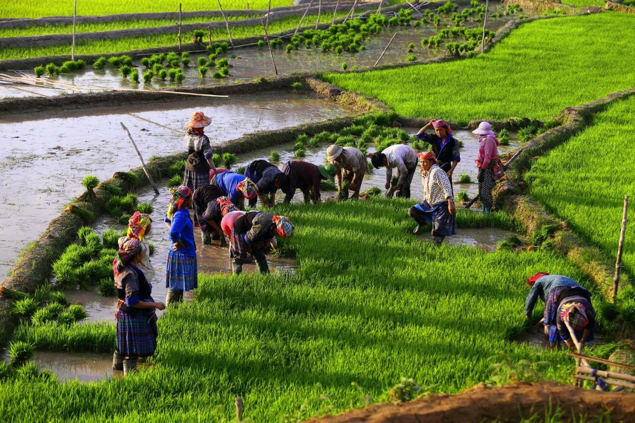 Mu Cang Chai Eco Lodge Nam San Eksteriør bilde